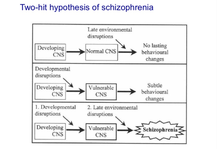 define two hit hypothesis of schizophrenia