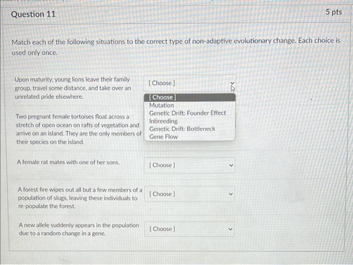 Solved D Question 1 Which of the following is most likely to | Chegg.com