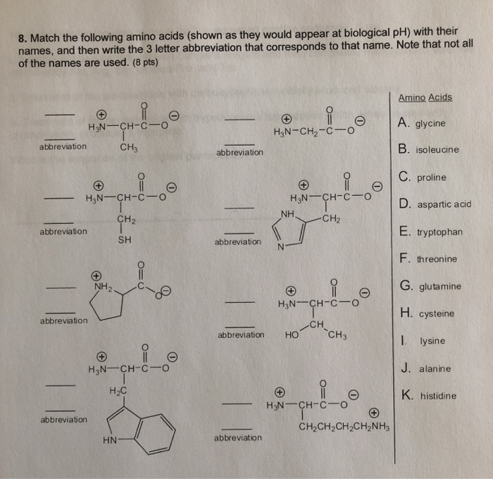 Solved 8. Match the following amino acids (shown as they | Chegg.com