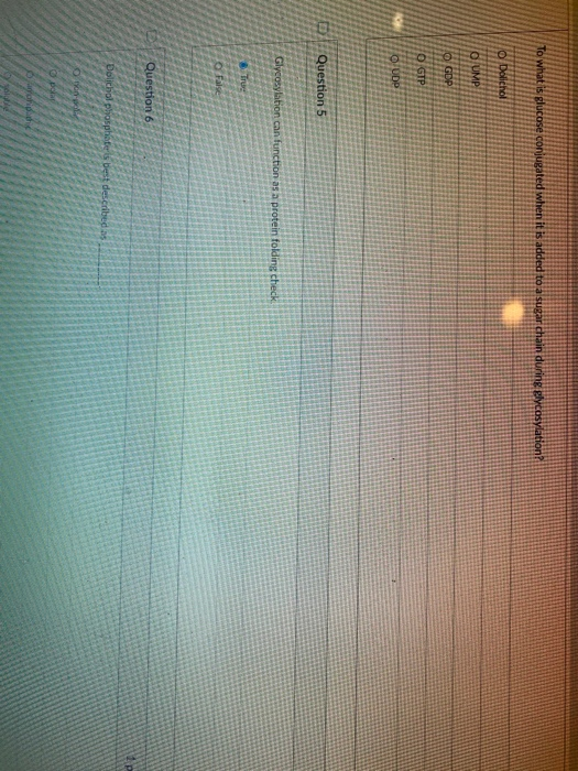 Solved 1. Sugars are built for glycosylation on only the