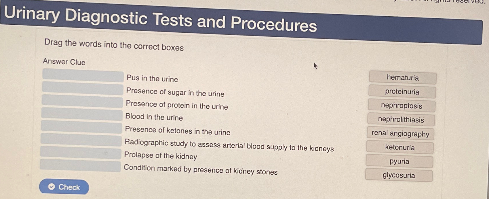 Solved Urinary Diagnostic Tests and ProceduresDrag the words
