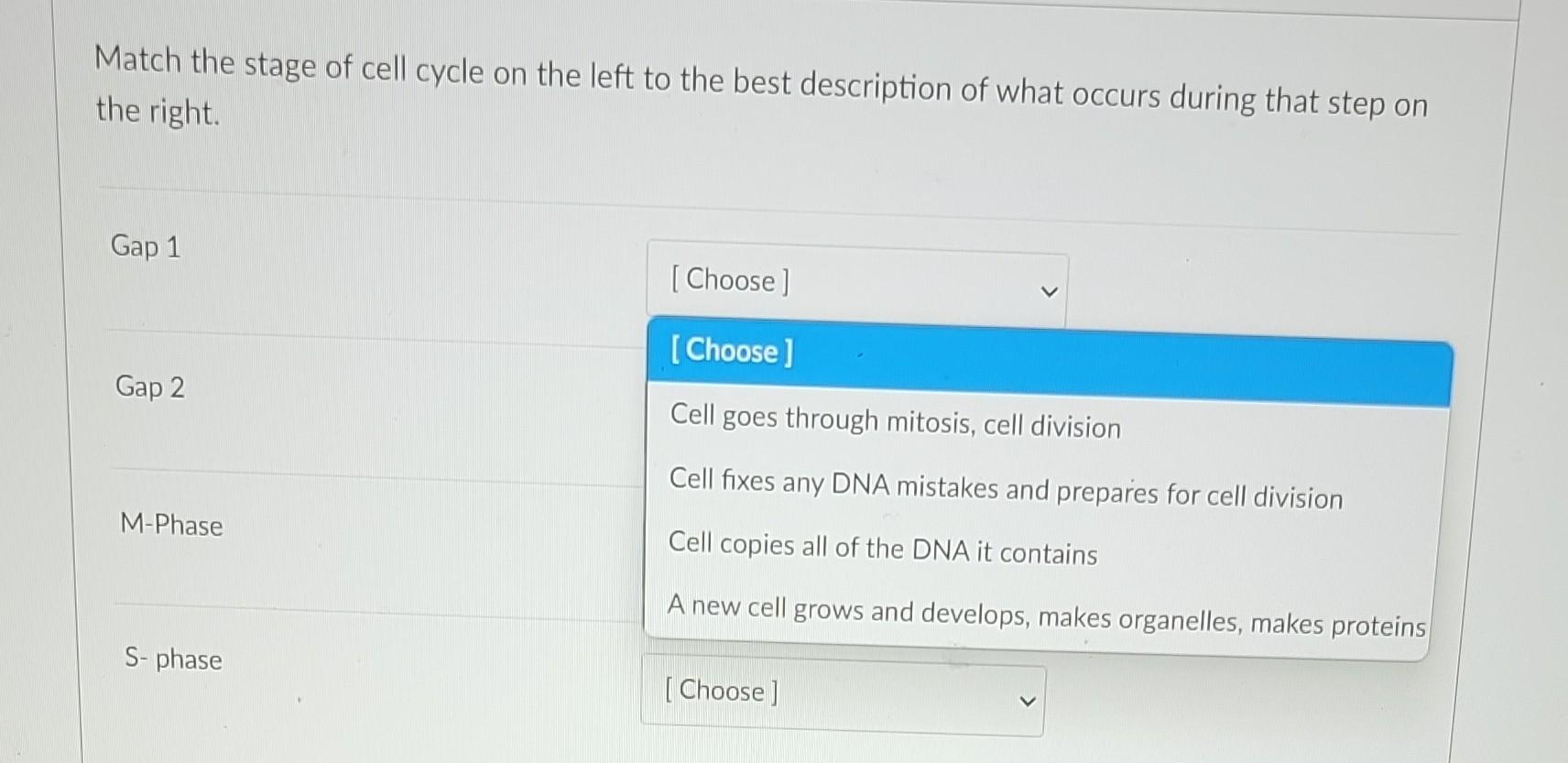Solved Match the stage of cell cycle on the left to the best | Chegg.com