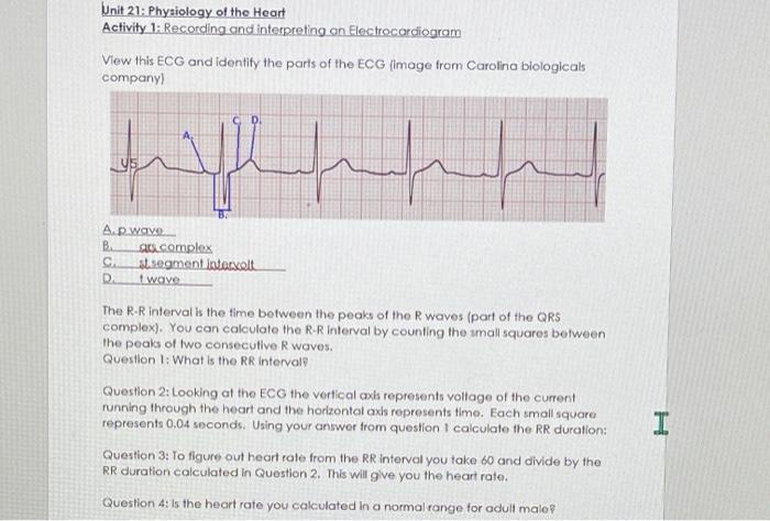 Solved Unit 21: Physiology of the Heart Activity 1: | Chegg.com