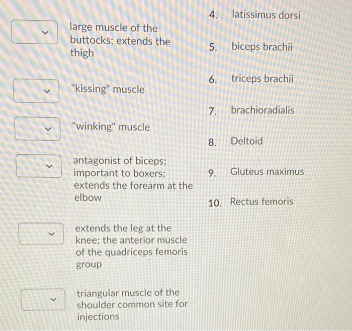 solved-if-you-have-hyperopia-which-view-of-the-river-chegg