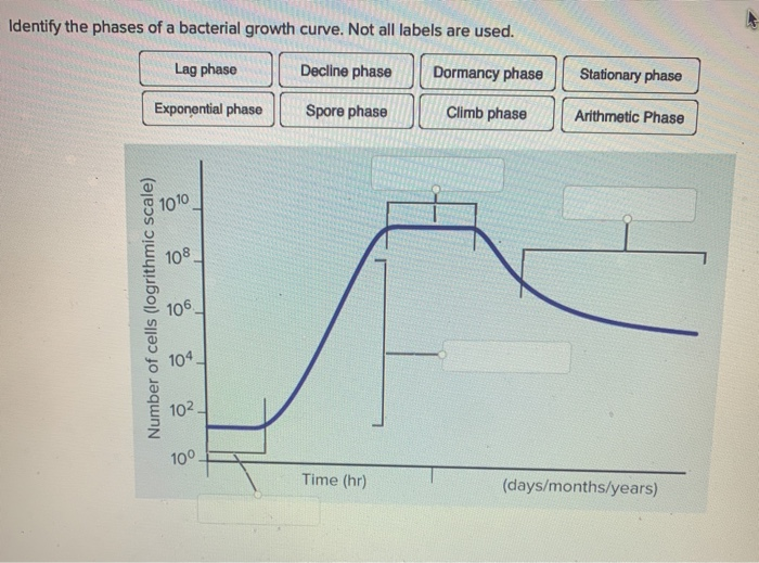 Identify The Phases Of A Bacterial Growth Curve Not All Labels Are Used