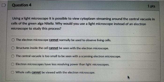 cytoplasm microscope