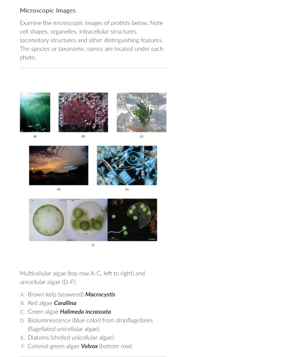 Microscopic ImagesExamine the microscopic images of | Chegg.com