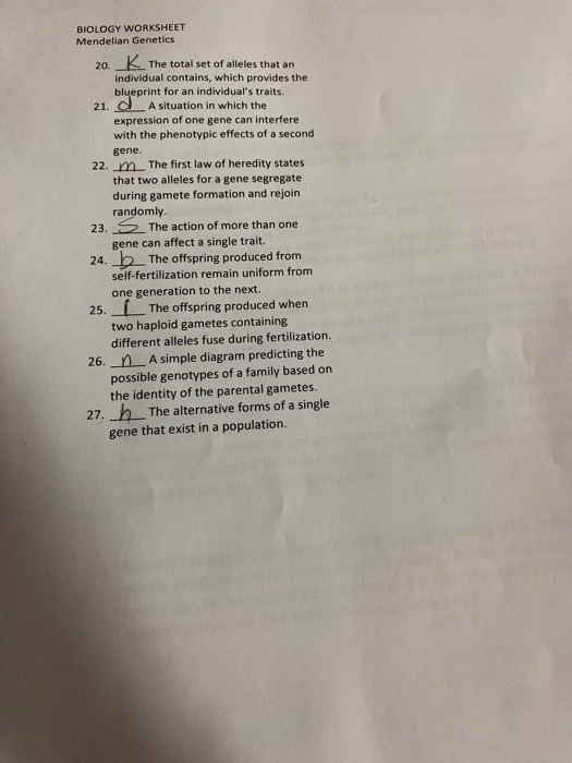 Solved BOLOGY WORKSHEET Mendelian Genetics Monohybrid Cross | Chegg.com