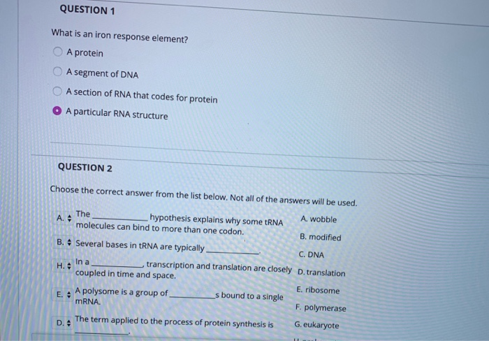iron response element