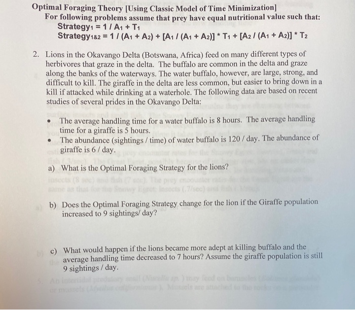 Optimal Foraging Theory (Using Classic Model of Time | Chegg.com