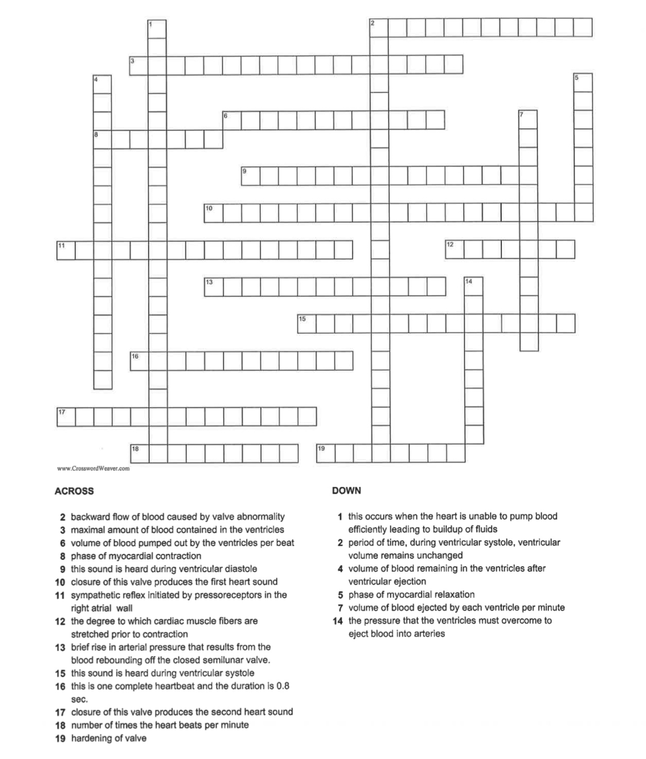 Solved Crossword Puzzle for Cardiac Heart Cycle | Chegg.com