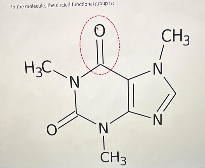 solved-in-the-molecule-the-circled-functional-group-is-chegg