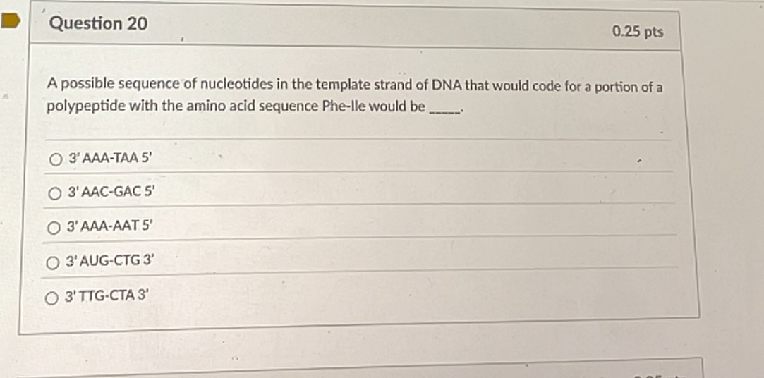 Solved Question 20A possible sequence of nucleotides in the | Chegg.com