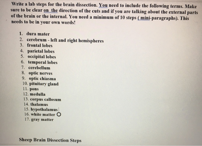 Solved Write a lab steps for the brain dissection. You need | Chegg.com