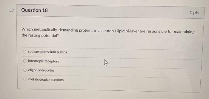 Solved D Question 15 1 pts Once a neuron has fired an action | Chegg.com