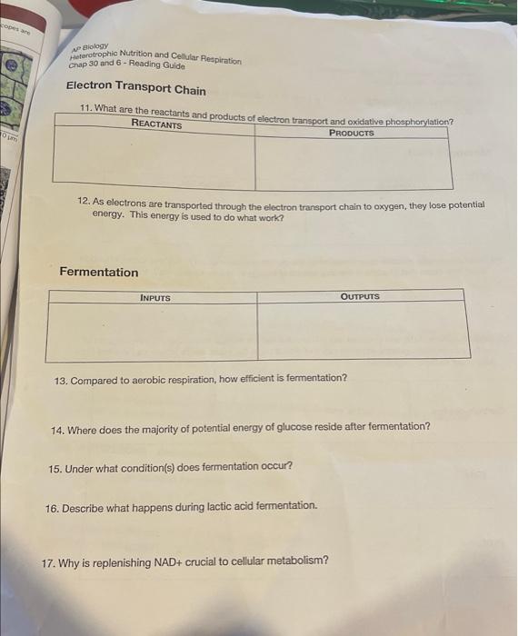 student submitted image, transcription available below