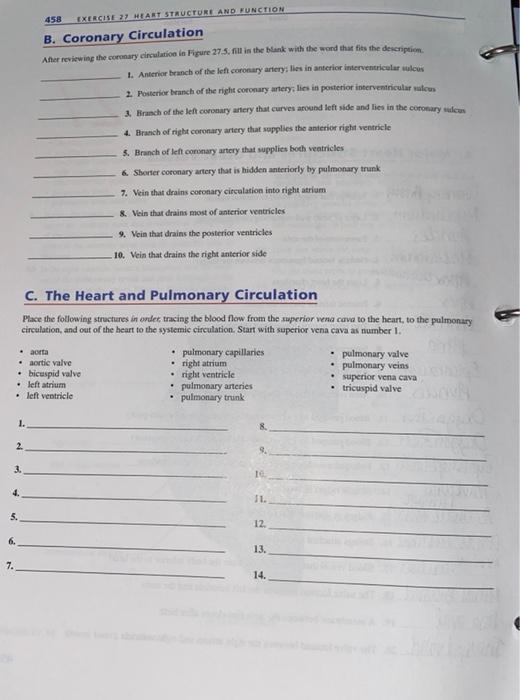 Solved 458 EXERCISE HEART STRUCTURE AND FUNCTION B. Coronary | Chegg.com