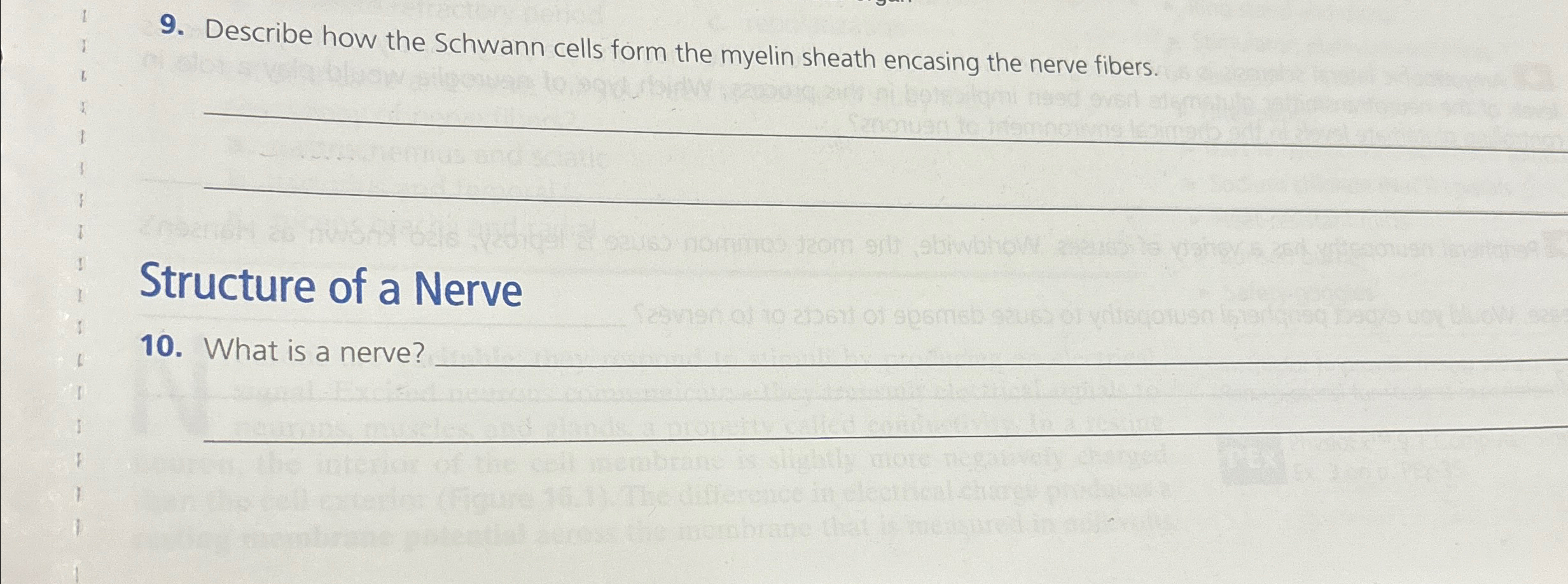 Solved Describe how the Schwann cells form the myelin sheath | Chegg.com