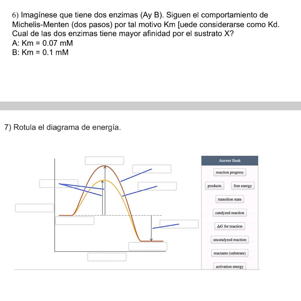 6) Imagínese que tiene dos enzimas (Ay B). Siguen el comportamiento de Michelis-Menten (dos pasos) por tal motivo Km [uede co