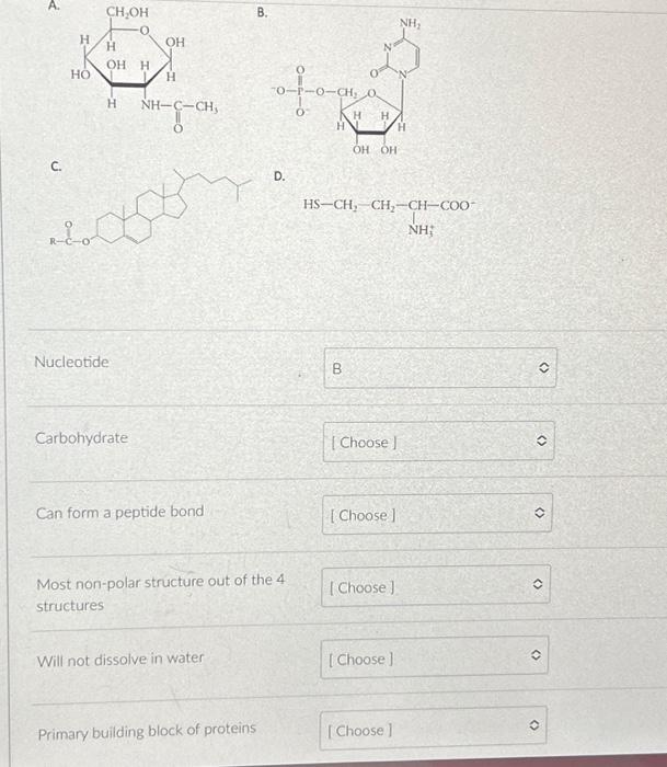 Solved Match The Structures With The Descriptions (can Be | Chegg.com