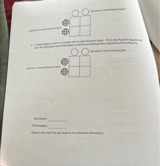 Solved C. The Punnett Square Is A Convenient Method Of | Chegg.com