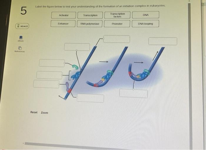 Solved Label the figure below to test your understanding of | Chegg.com