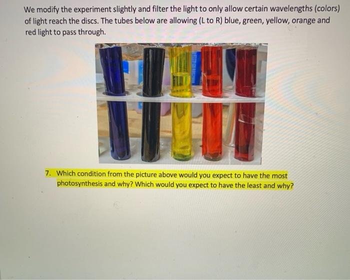 Solved Spinach disc photosynthesis experiment Watch the