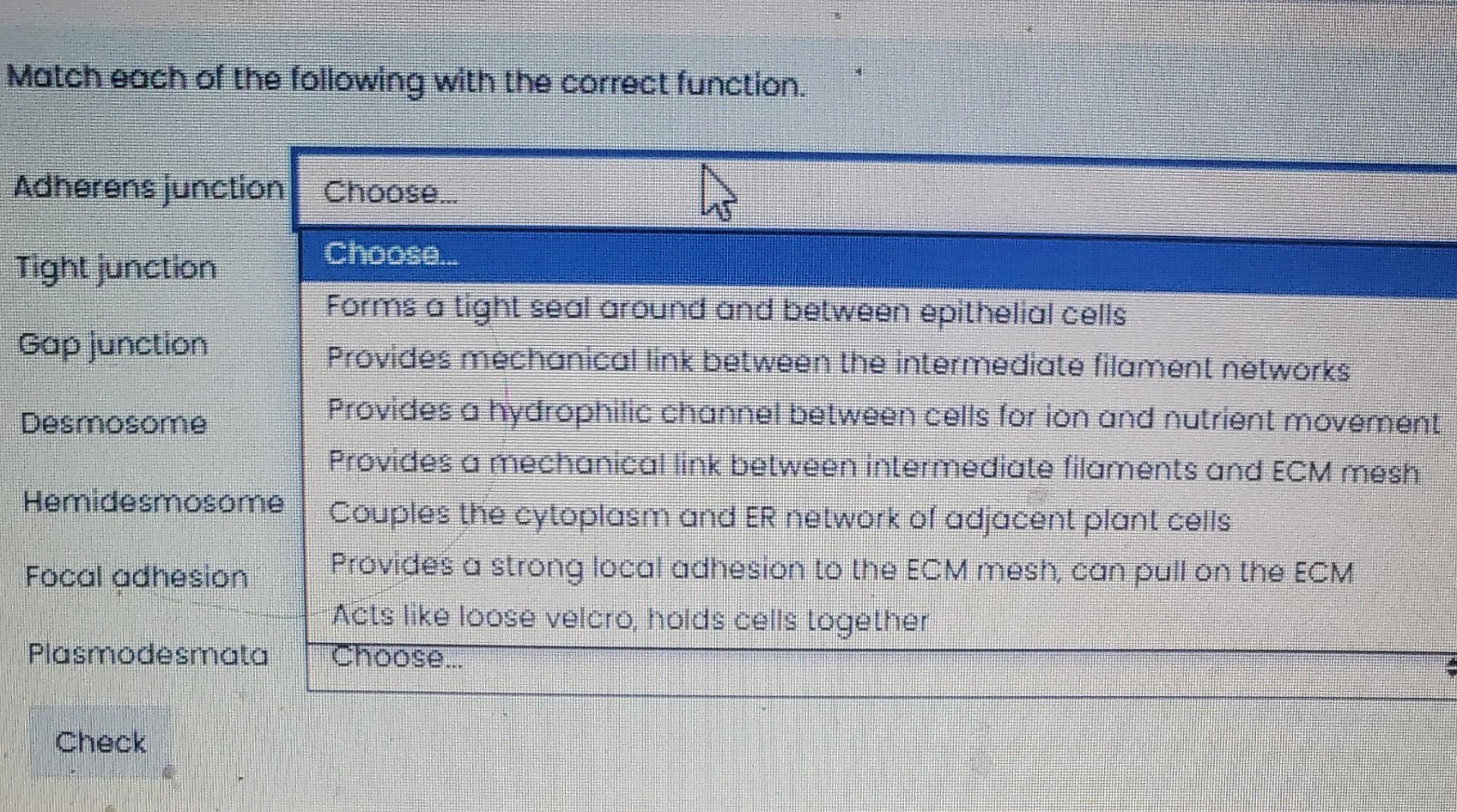 Solved Match each of the following with the correct | Chegg.com