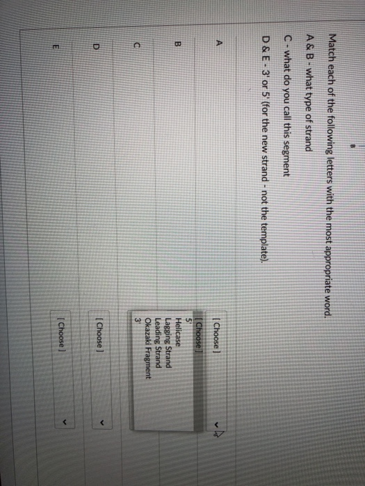 Solved Correctly identify the steps in eukaryotic | Chegg.com