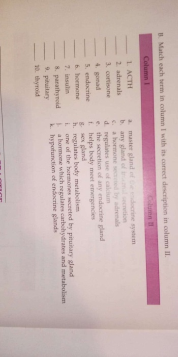 Solved B. Match Each Term In Column I With Its Correct | Chegg.com