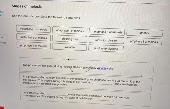 Solved Stages of meiosis f3 Use the labels to complete the | Chegg.com