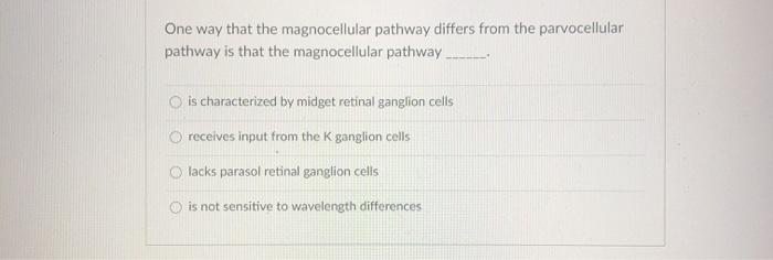 Solved One way that the magnocellular pathway differs from | Chegg.com