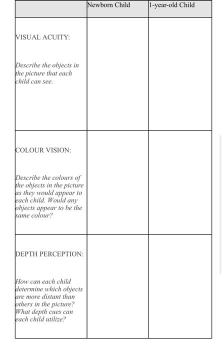 Solved Newborn Child 1-year-old Child VISUAL ACUITY: | Chegg.com