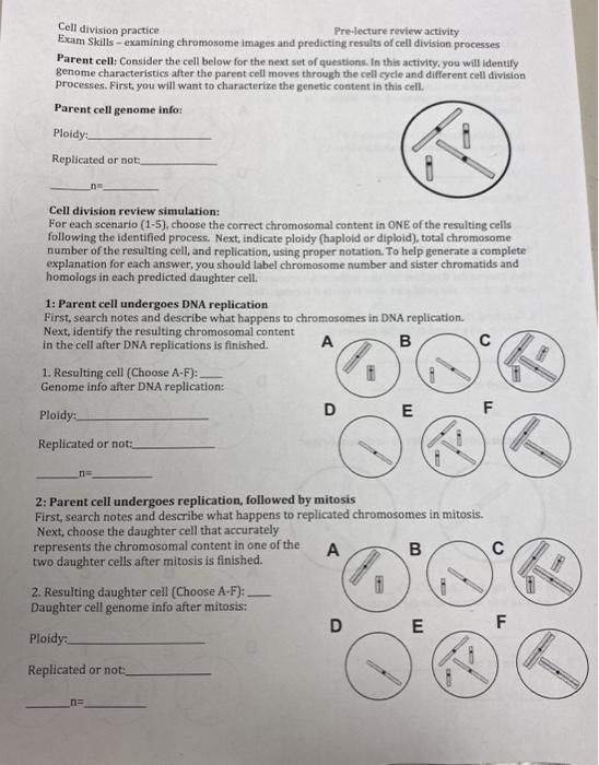 Cell division practice Pre-lecture review activity Exam Skills - examining chromosome images and predicting results of cell d