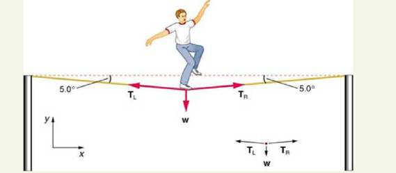 Solved: This problem returns to the tightrope walker studied in Ex