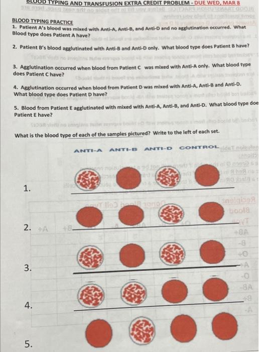 Solved BLOOD TYPING PRACTICE 1. Patient A′ 's Blood Was | Chegg.com