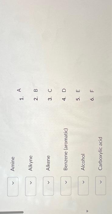 Solved B C D E F Amine 1. A AlkyneAmine Alkyne Alkene | Chegg.com