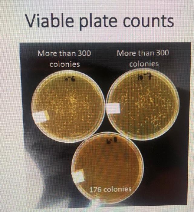 Solved Lab 07 Results enoneug yu2 od Examine the nutrient
