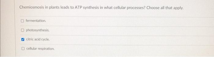 Solved Chemiosmosis In Plants Leads To Atp Synthesis In What 