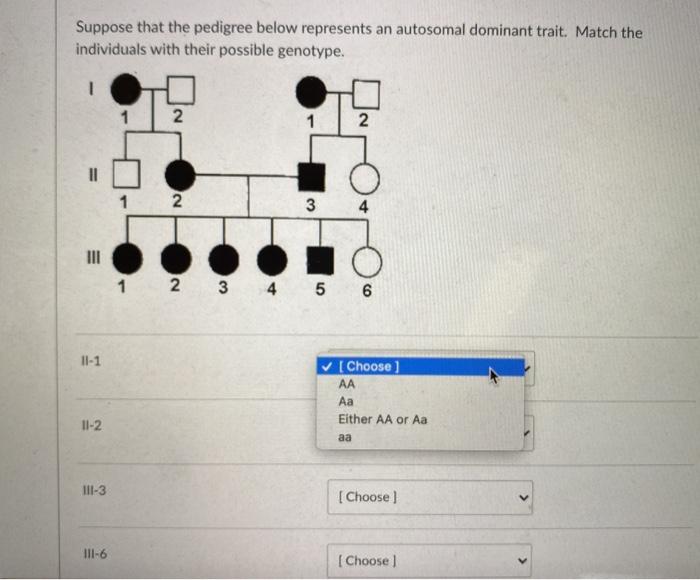 Solved Suppose that the pedigree below represents an | Chegg.com