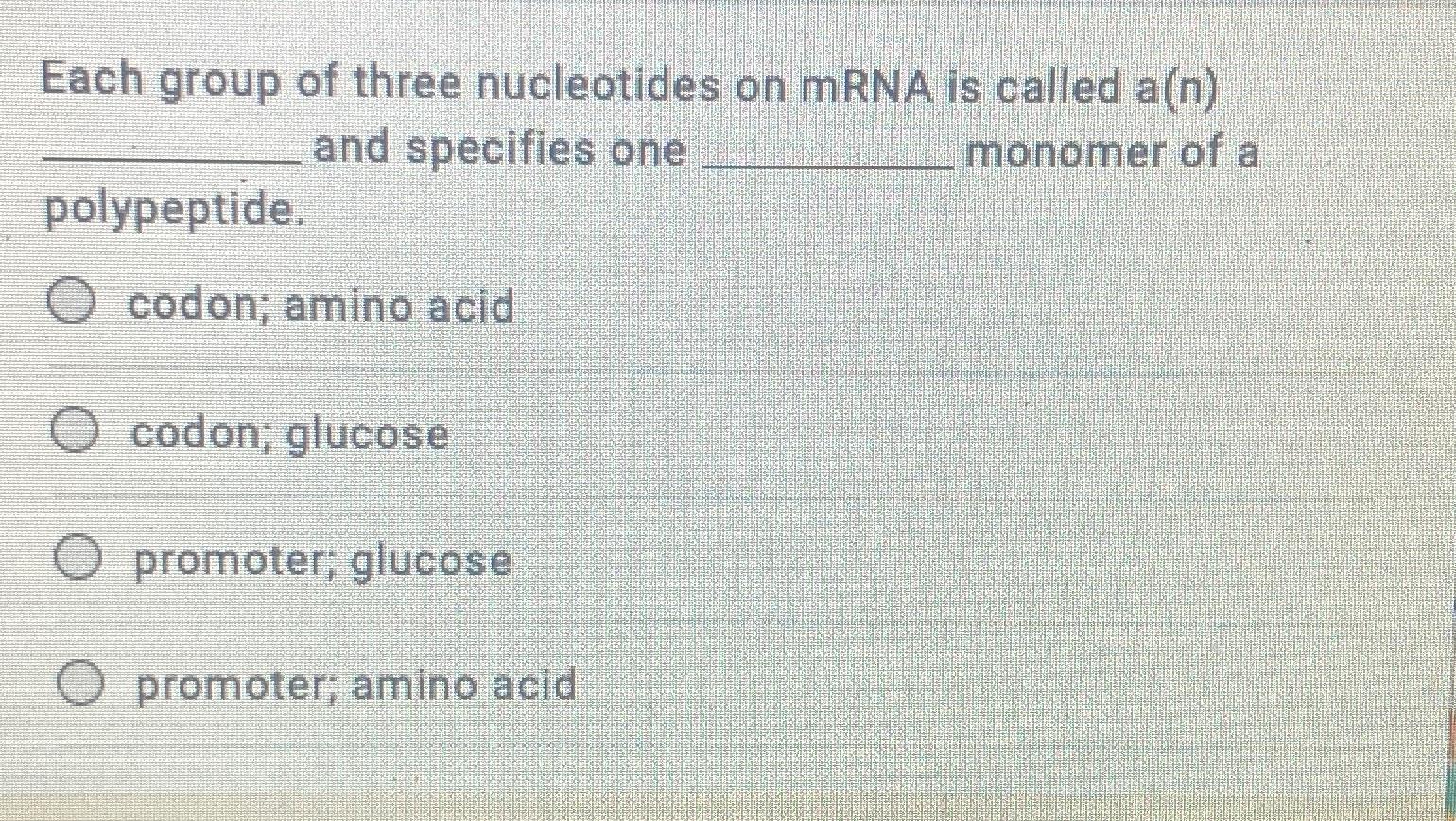 groups of three nucleotides on the mrna