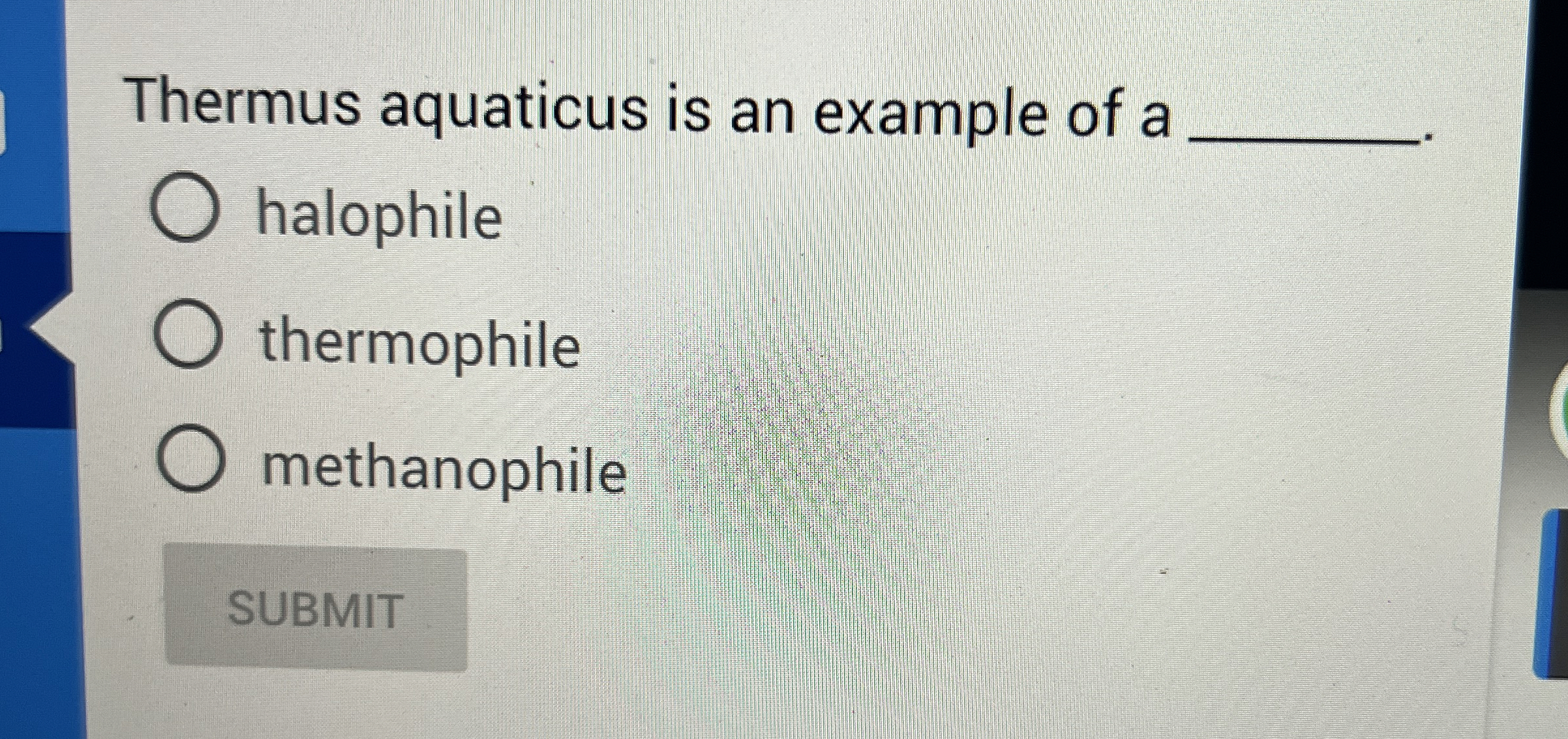 Solved Thermus aquaticus is an example of