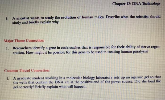 Solved Chapter 12: DNA Technology 11. List three genetically | Chegg.com