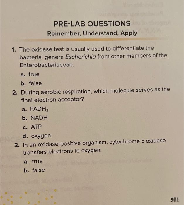 Solved PRE-LAB QUESTIONS Remember, Understand, Apply 1. The | Chegg.com