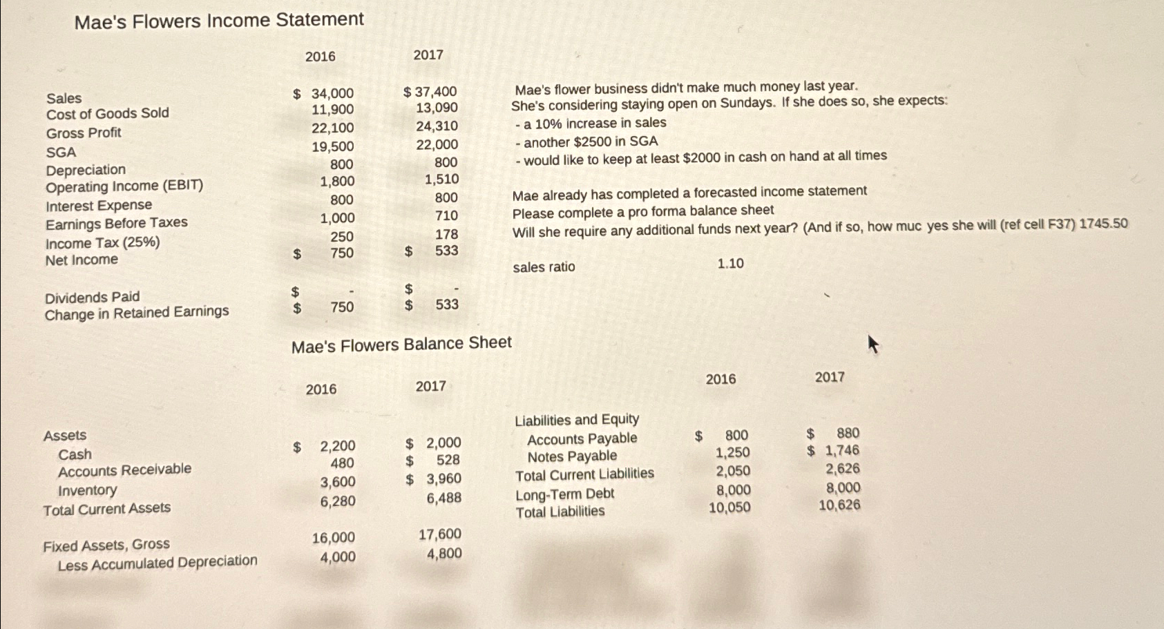 Solved Mae's Flowers Income Statement | Chegg.com