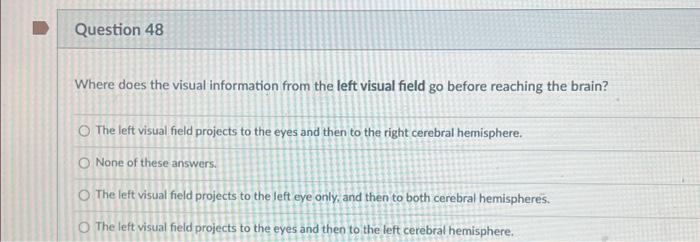 Solved Where does the visual information from the left | Chegg.com