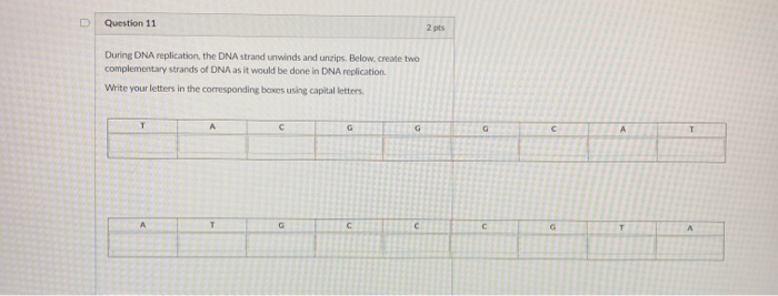 Solved Question 11 2 pts During DNA replication, the DNA | Chegg.com