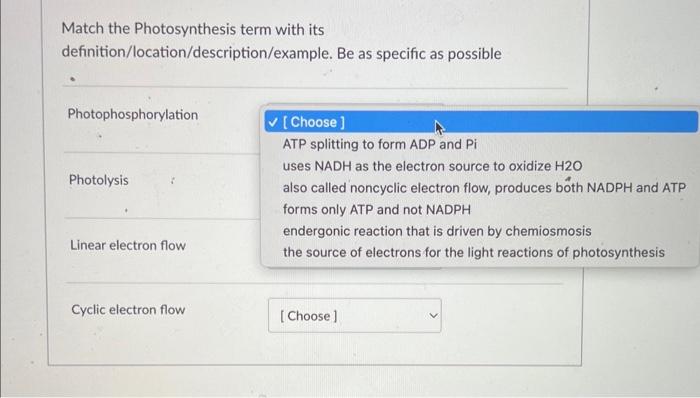 solved-match-the-photosynthesis-term-with-its-chegg