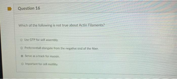 Question 16 Which of the following is not true about Actin Filaments? Use GTP for self assembly Preferrentiall clongate from