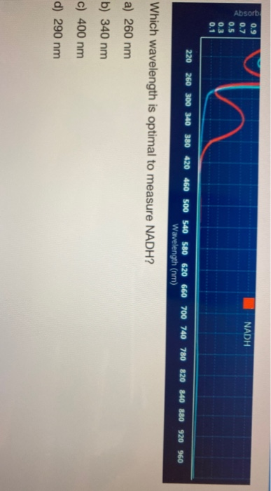 Solved We Want To Determine The Concentration Of Nadh In A | Chegg.com Solved We Want To Determine The Concentration Of Nadh In A | Chegg.com